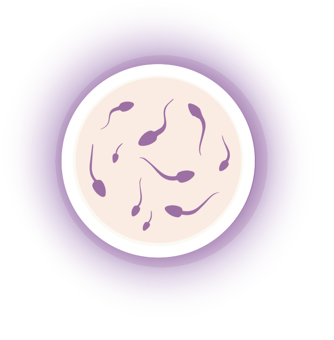 NextFertility-samenspende